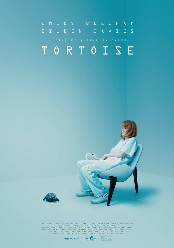 Tortoise
