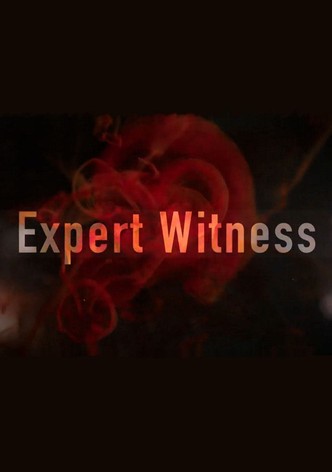 Expert Witness - Forensiker auf Spurensuche