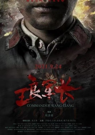 Commander Wang Liang