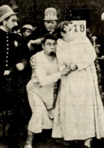 Hoffmeyer's Legacy