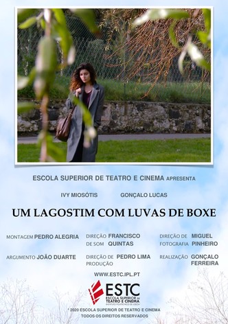 Um Lagostim com Luvas de Boxe