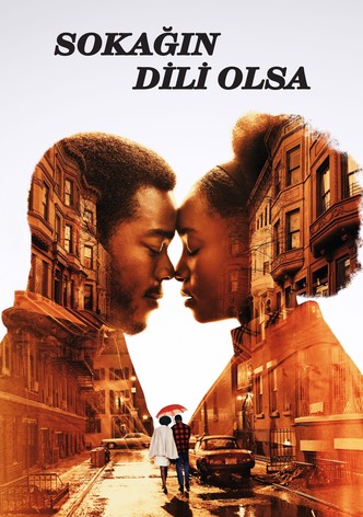 Sokağın Dili Olsa