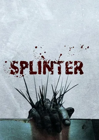 Splinter poster
