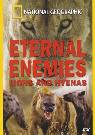 Eternal Enemies: Lions and Hyenas