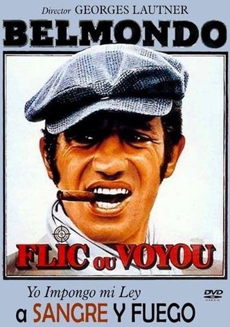 Yo impongo mi ley a sangre y fuego