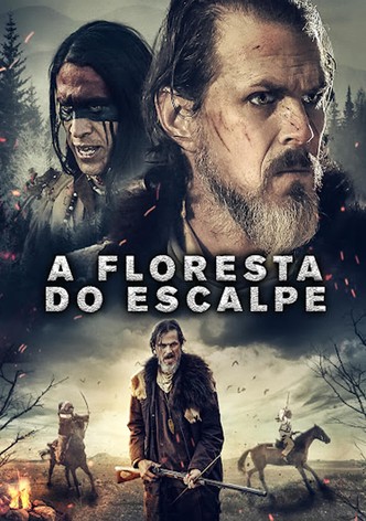 A Floresta do Escalpe