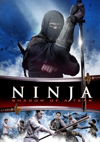 Ninja 2: Pomsta