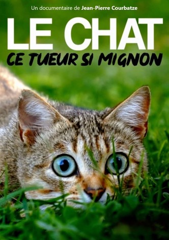 Le Chat, ce tueur si mignon