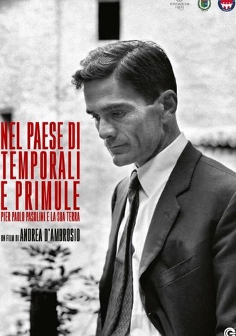 Nel paese di temporali e di primule - Pier Paolo Pasolini e la sua terra