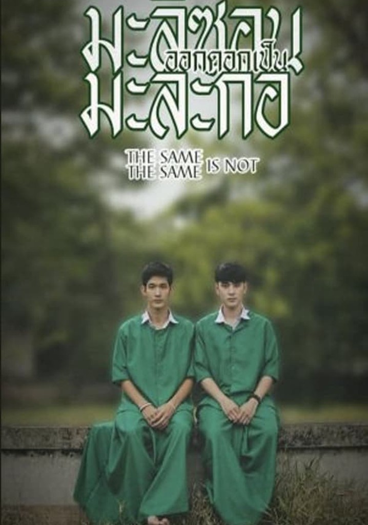 Same Same is Not the Same