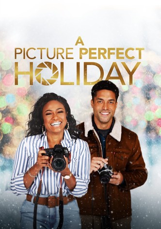 A Picture Perfect Holiday