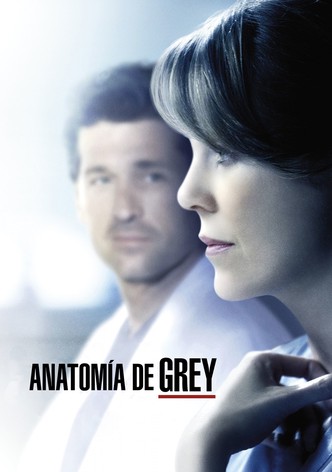 Grey s Anatomy Ver la serie de tv online