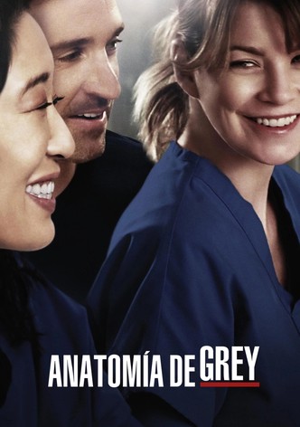 Grey s Anatomy Ver la serie de tv online