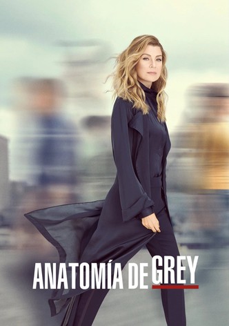 Grey s Anatomy Ver la serie de tv online