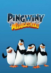 Pingwiny z Madagaskaru