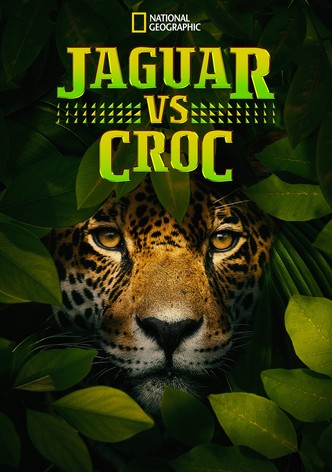 Jaguar vs. Croc