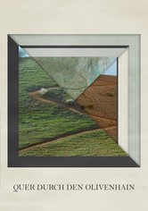 Quer durch den Olivenhain