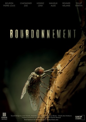 Bourdonnement