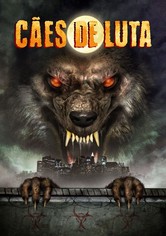 Cães de Luta
