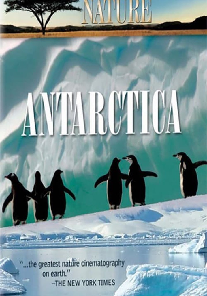 Under Antarctic Ice Streaming: Where To Watch Online?