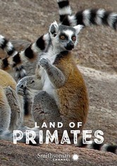 Land of Primates