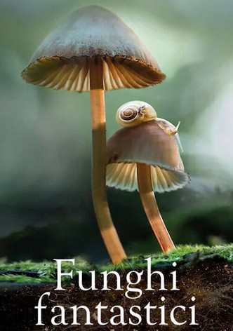 Funghi fantastici