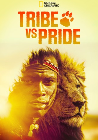 Tribe vs Pride