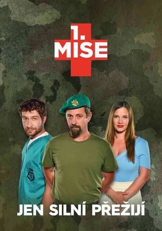 1. MISE