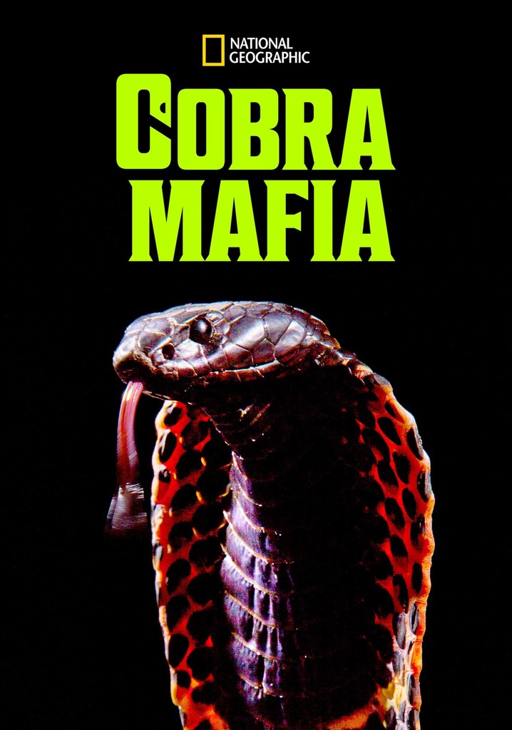Cobra Mafia