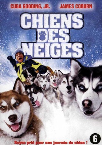 Chiens des neiges