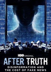 After Truth: Disinformation and the Cost of Fake News