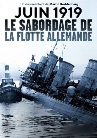 Juin 1919, le sabordage de la flotte allemande