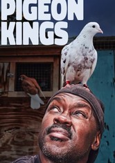 Pigeon Kings