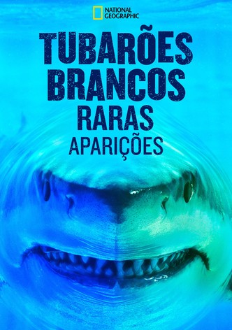 Expedição Havaí: Tubarão Branco