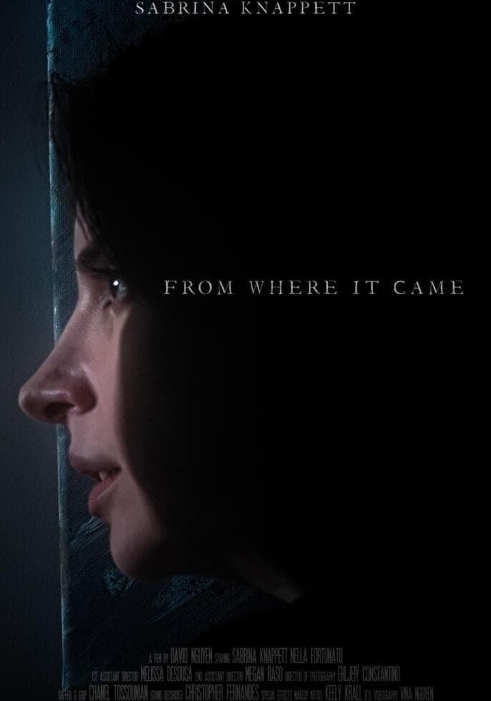 From Where It Came