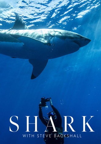 Žralok se Stevem Backshallem