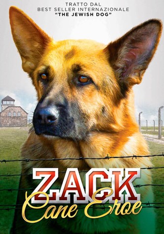 Zack, cane eroe