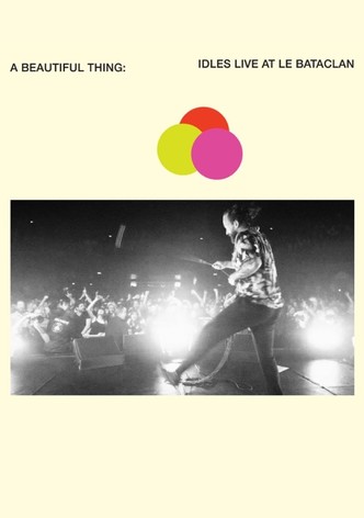 A Beautiful Thing: IDLES Live at le Bataclan
