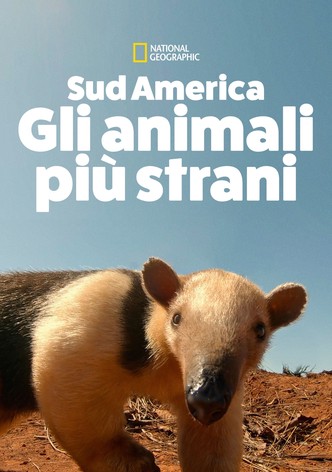 Sud America - Gli animali più strani