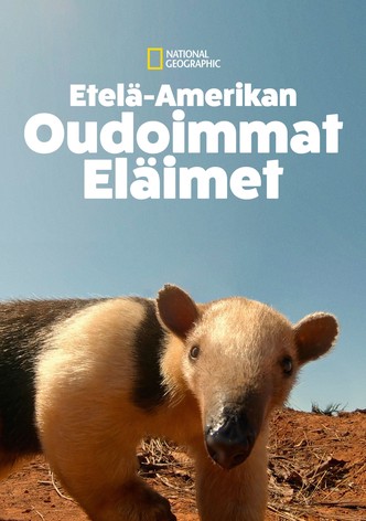 Etelä-Amerikan oudoimmat eläimet