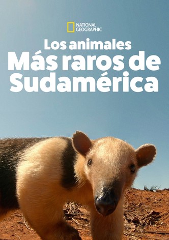 Los Animales Más Raros de Sudamérica