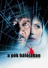 A pók hálójában