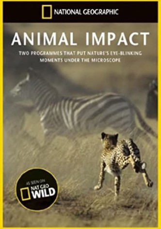 Animal Impact