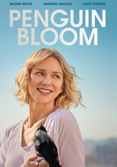 Penguin Bloom