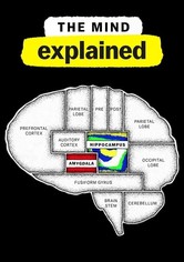 The Mind, Explained