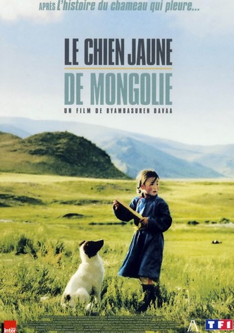 Le Chien jaune de Mongolie