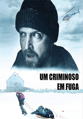 Momentos Que se Perdem