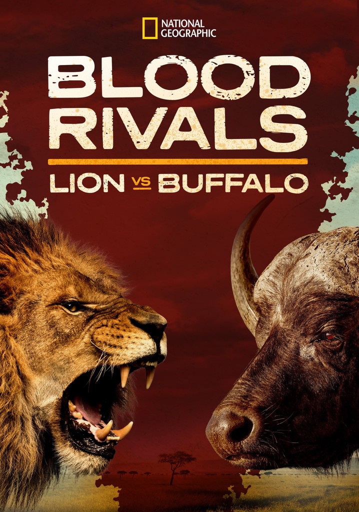 Blood Rivals Lion vs Buffalo: Buffalo Fortress
