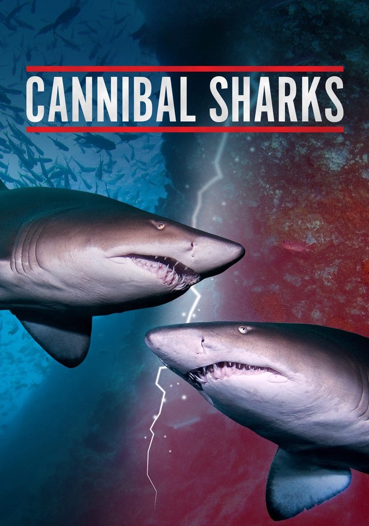 Cannibal Sharks