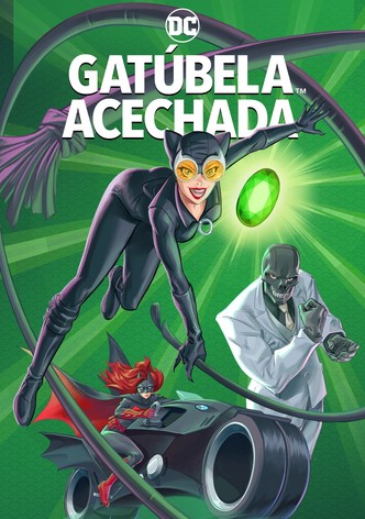 Catwoman: La caza